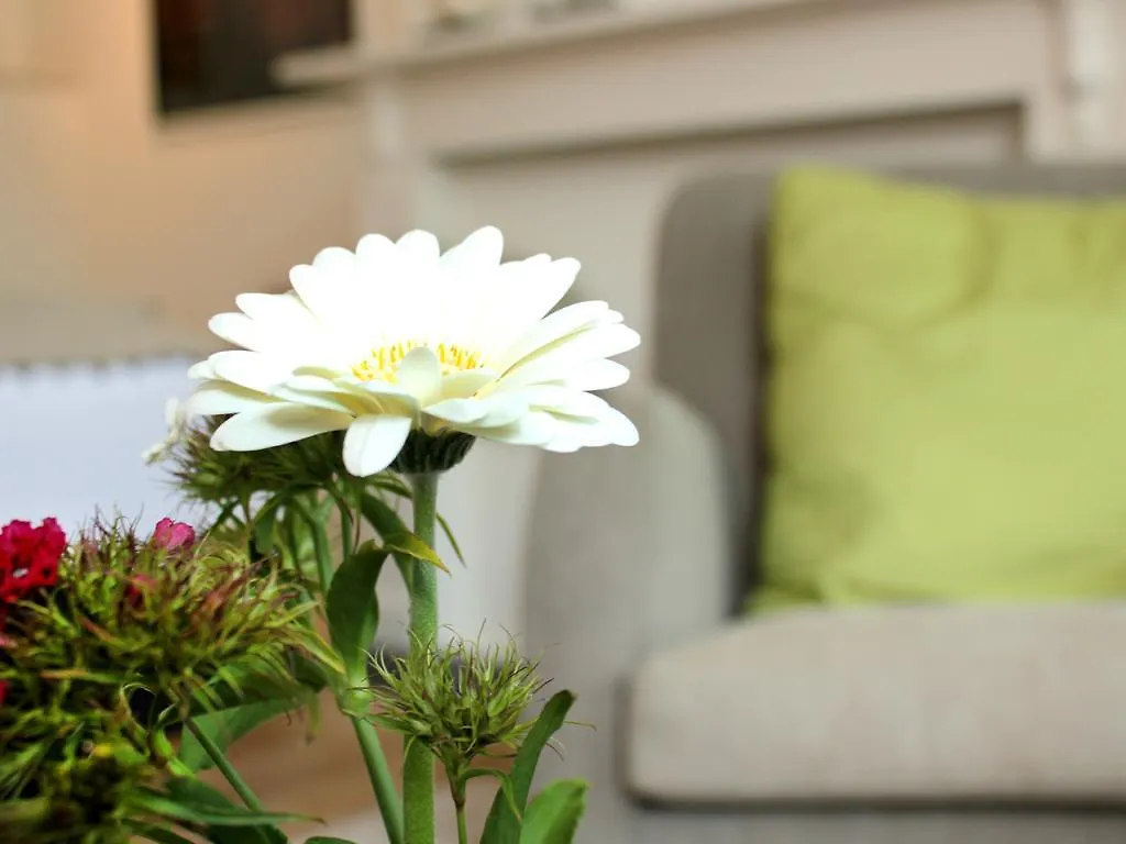 ** Nocleg ze śniadaniem B&B Alphabet - Luxury Guesthouse And Art Gallery Brugia Belgia